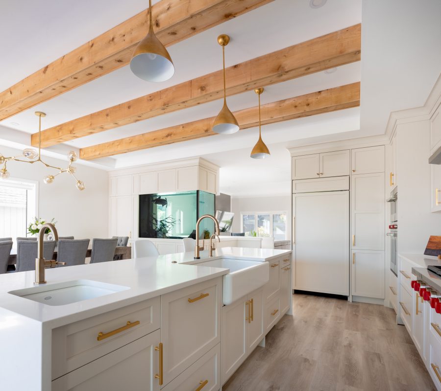 North Van Kitchen & Fish Tank