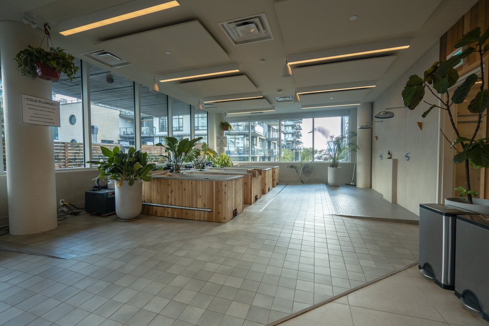 Whitley Electric Ltd