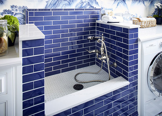 The Utility Room, Evolved