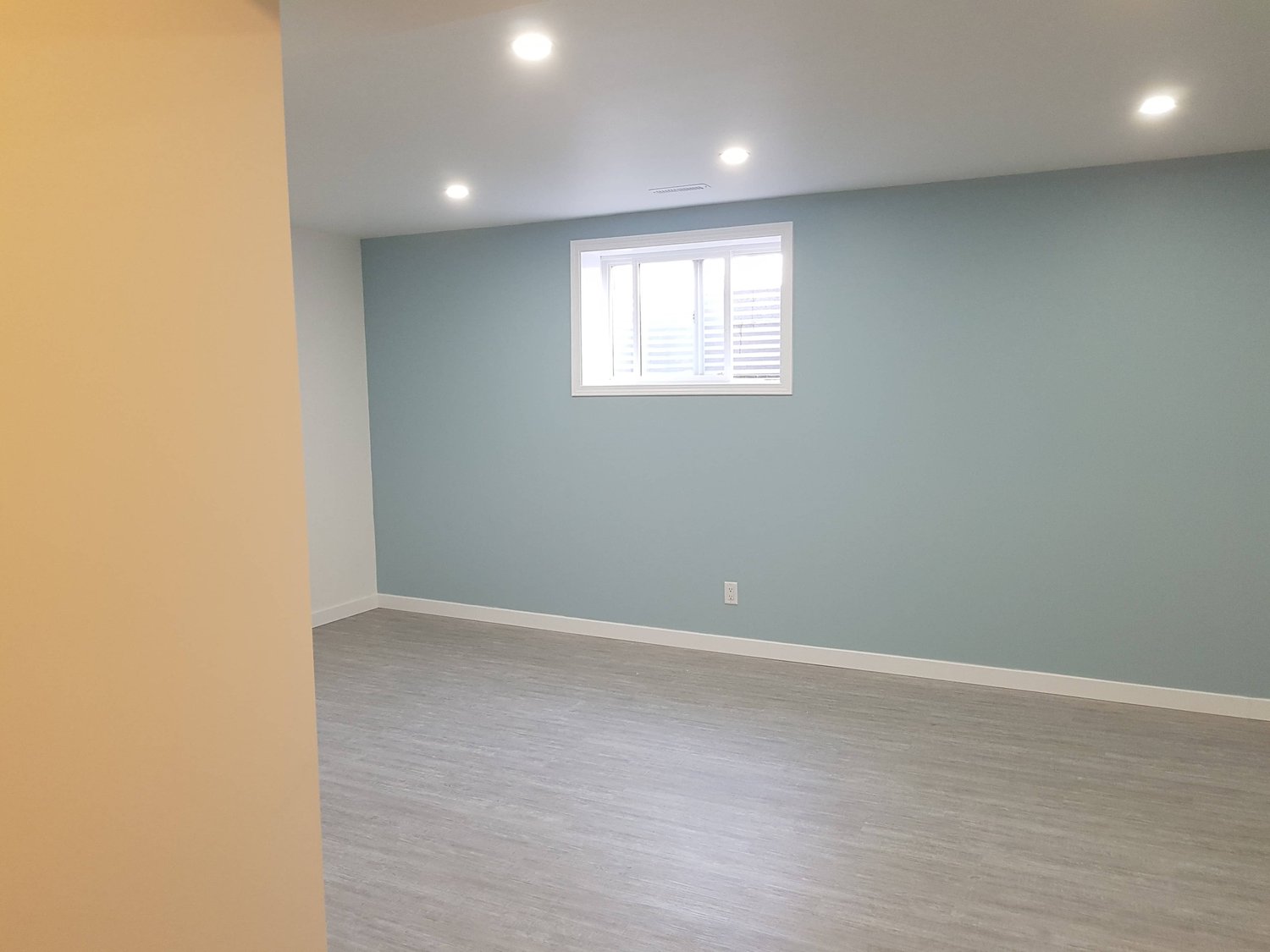 Basement Development