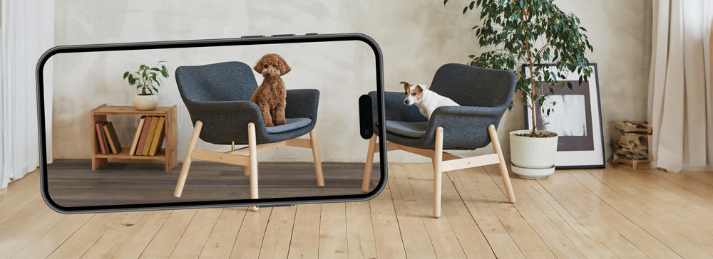 End Of The Roll Flooring