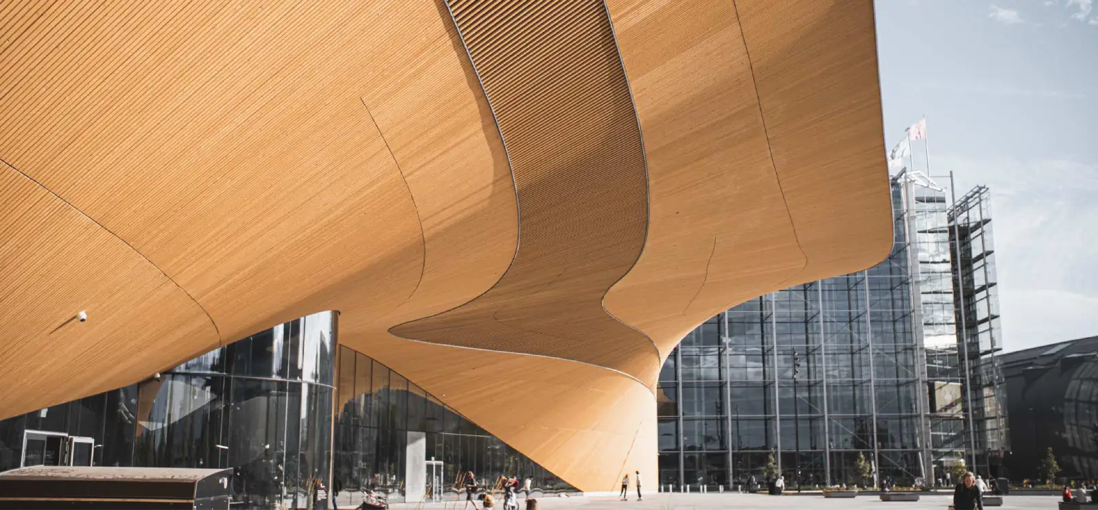 Secondary Dackyard Suites