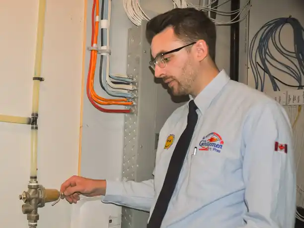 Leak Detection/Water Damage