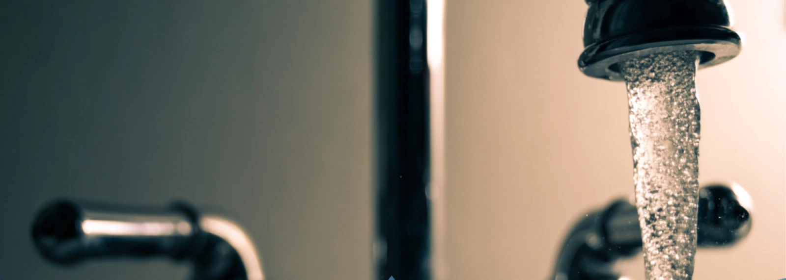 Water Quality and Treatment