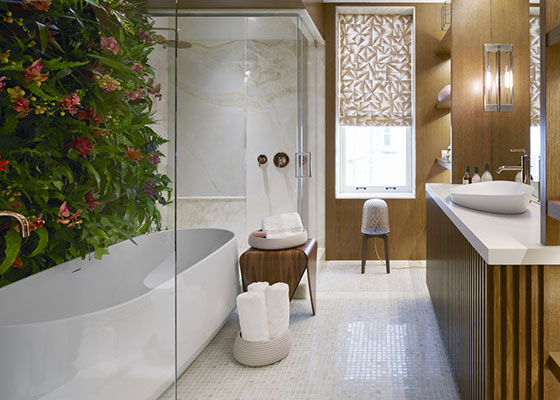 Create Your Ideal Shower