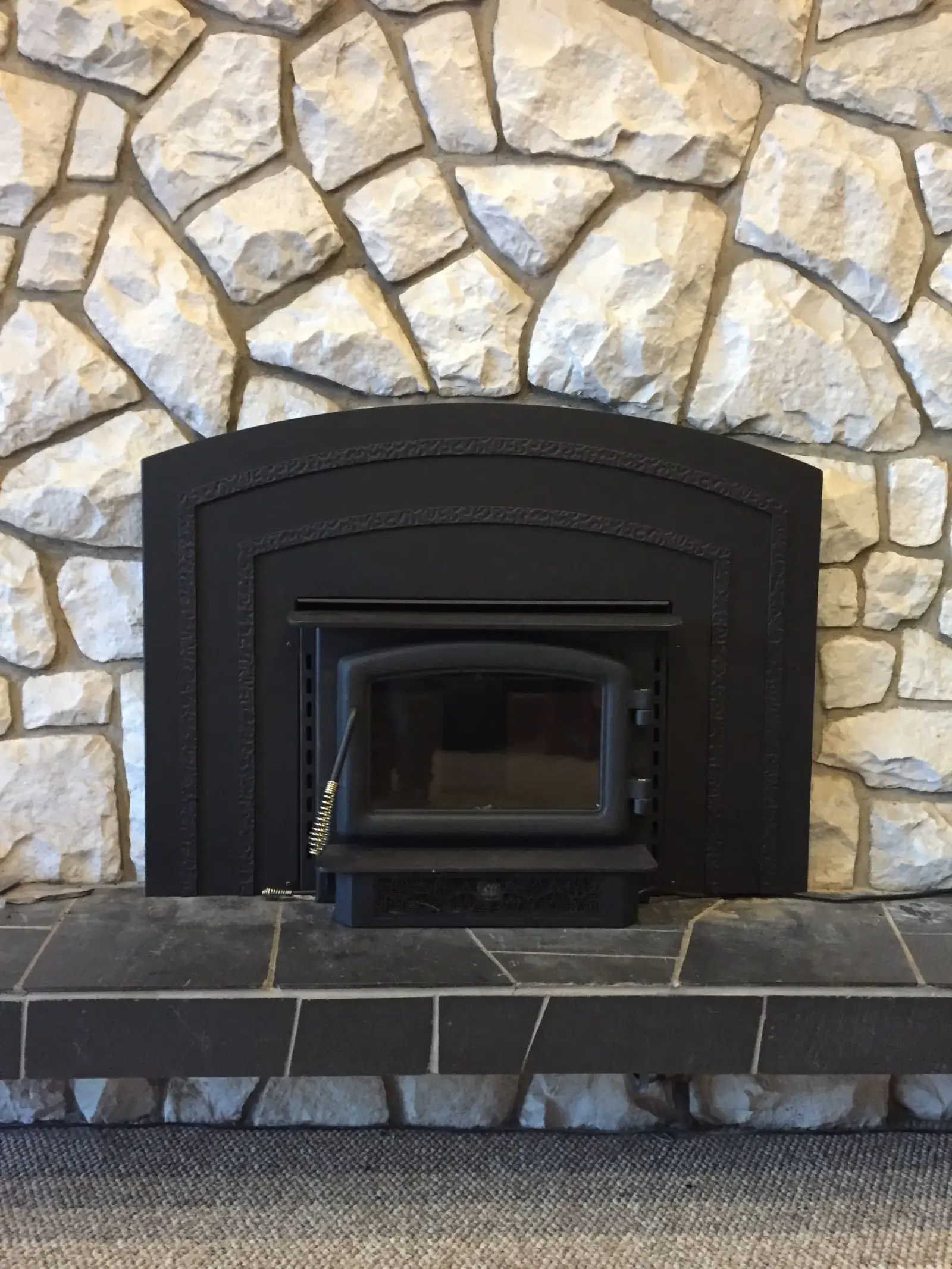 wood-burning fireplaceS