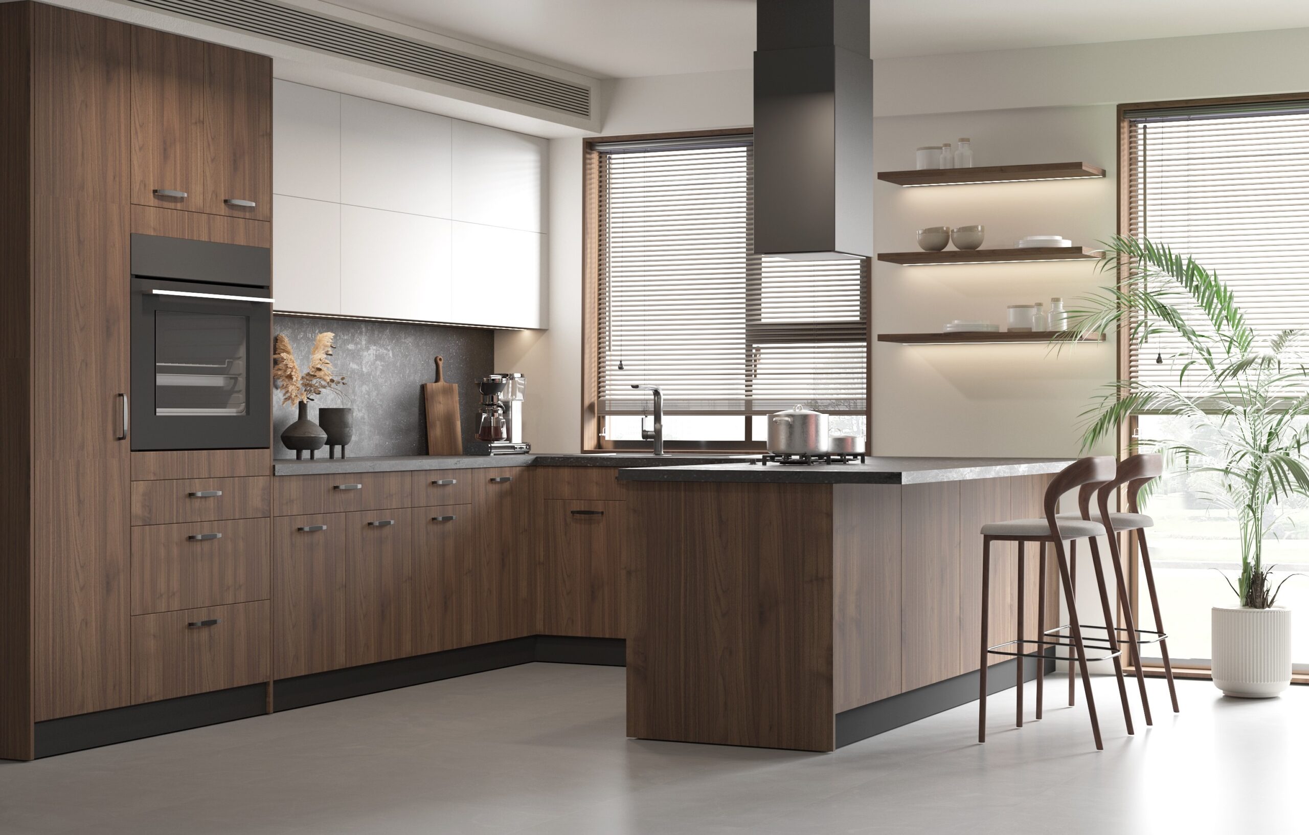 Modern Kitchen Cabinets
