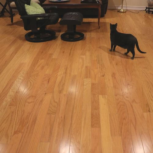  WOOD FLOORING