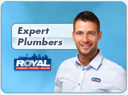 Royal Plumbing Services Ltd.