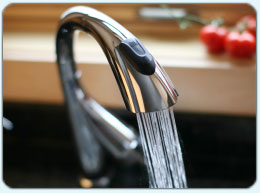 Royal Plumbing Services Ltd